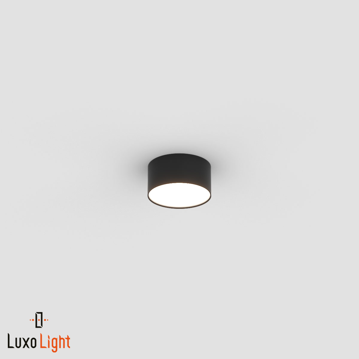 _lux0107001.jpg
